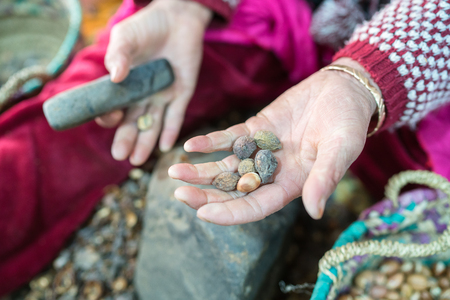 Processing argan seeds , the famous product of Moroccoの写真素材