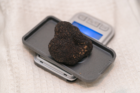 black truffle on weight scaleの写真素材
