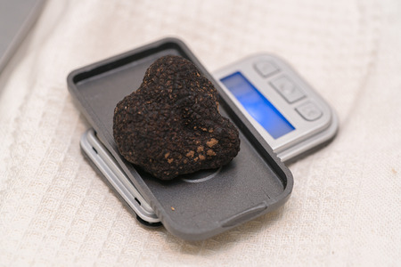 black truffle on weight scaleの写真素材