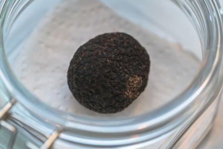 black truffle mushroomの写真素材