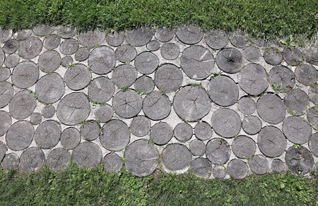 Background of pathway of sawed logs and concrete in Dudutkiの写真素材