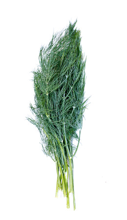 Green leaves of fennel plants  isolated on white backgroundの写真素材