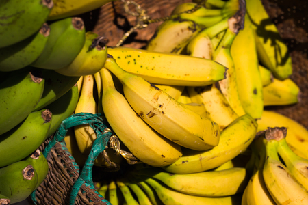 This is a photo of some bananas, was taken in Yunnan, China.の写真素材