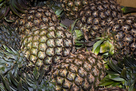 pineapples, Yunnan, China.の写真素材