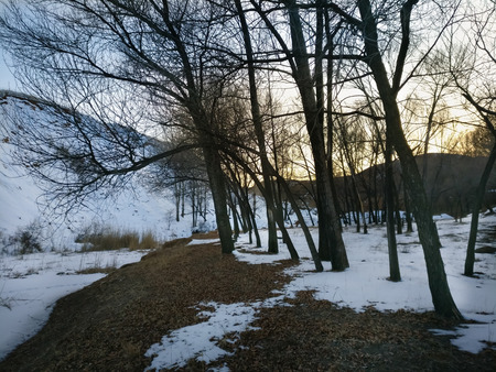 Landscape view of a plateau during winterの写真素材