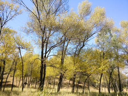 The Plateau Autumn Sceneの写真素材