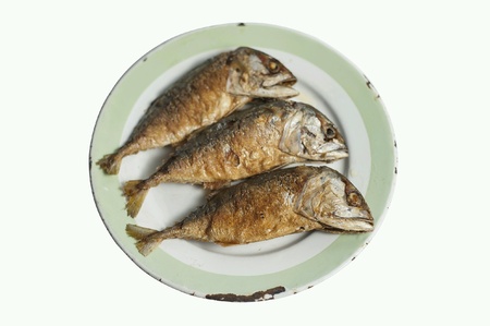 Isolated mackerel fried on plateの素材