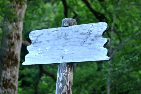 Wooden sign in the  jungle.jpgの写真素材