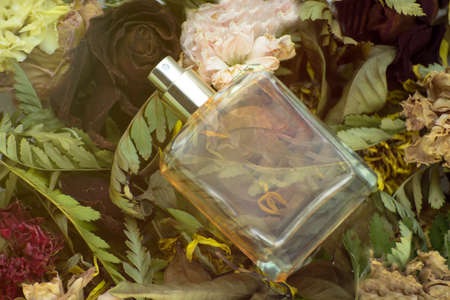 brown perfume in a clear square bottle On a background with dry leaves, green, yellow and red