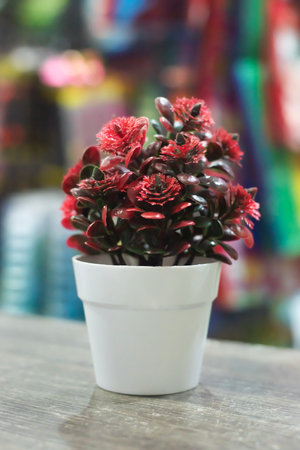 Red artificial flowers in a white plastic pot Placed on a dark brown table with a wood pattern. The background is a lot of thingsの写真素材