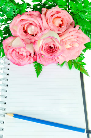 Bouquet of roses pencil and a diary on  white backgroundの写真素材
