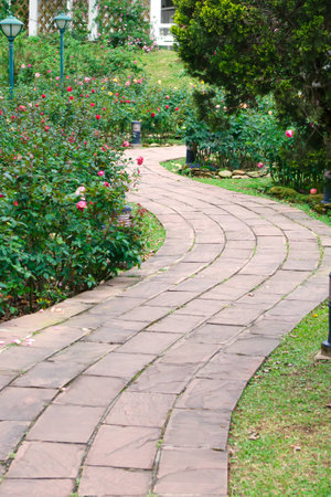 walk in the rose gardenの写真素材