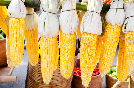 the corn was lined dryingの写真素材