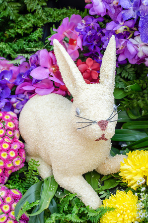 The rabbit made with grainの写真素材