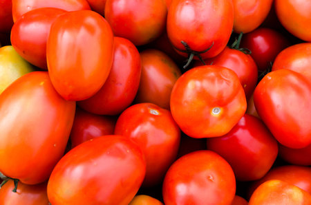 tomatoes backgroundの写真素材