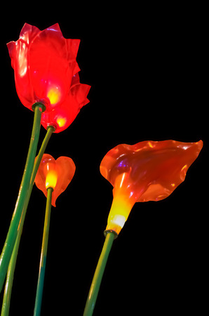 The Tulip Lamp on black backgroundの写真素材