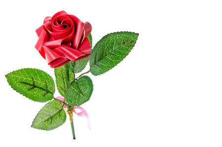 The rose made with Plastic Recycleの写真素材