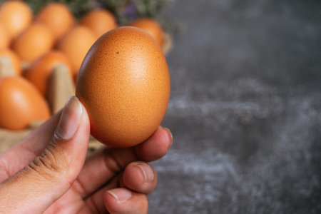 Close-up of hand holding egg on grey background with copy spaceの写真素材