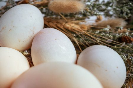 Eggs in a basket on a background of dry grass.の写真素材
