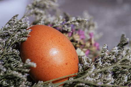 Easter egg and flowers on a gray background, close-upの写真素材