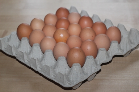 fresh eggsの写真素材