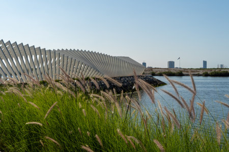 Geometric architectural shapes through the reeds at Manar mall in Ras al Khaimah, United Arab Emirates on a blue sky sunny day.の写真素材