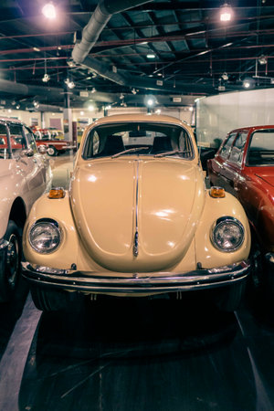 1971 German Car classic front end (portrait view)