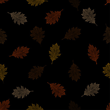 Seamless pattern of autumn leaves of northern red oak on a black background.のイラスト素材