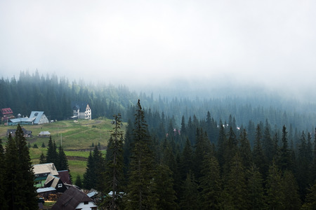 Mist descends to the polonina Dragobratの写真素材