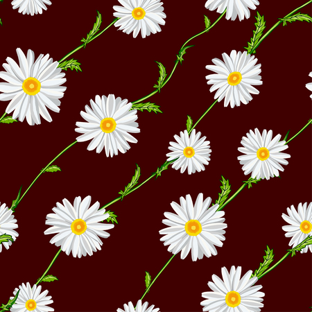 Seamless pattern from field chamomiles on stems diagonally on claret background.のイラスト素材
