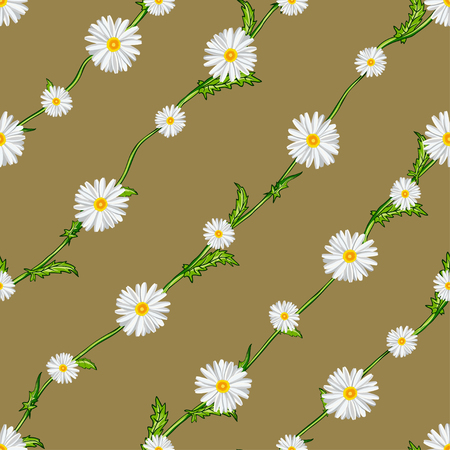 Seamless pattern from field chamomiles on stems diagonally. Flowers, stems and background are separated.のイラスト素材
