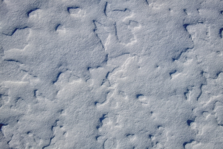Surface of the snow cover of the earth blown by the windsの写真素材