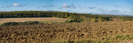 Autumn countryside landscape. Fields and forest plantationsの写真素材