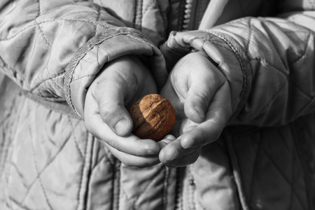Walnut in the palms of a child