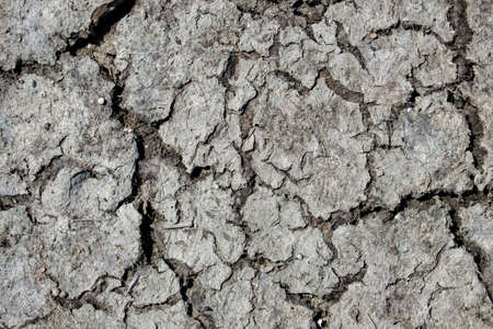 Surface of cracked dry soil with a high salt contentの写真素材