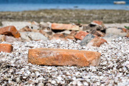 Vintage red brick lies among sea shellsの写真素材
