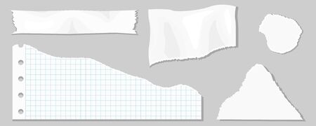 Paper scraps. Ripped paper, wrinkled paper, torn sheets, notebook paper and sheet of recording paper. Page texture, textured sheet of notes or notepad. Vector illustrationのイラスト素材
