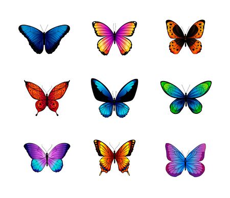Collection of colorful vector butterflies. Vector illustrationのイラスト素材