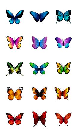 Various cartoon butterflies. Set illustrations butterfliesのイラスト素材