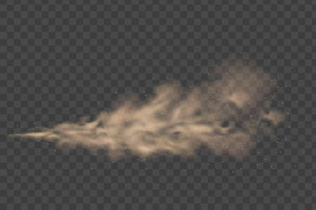 Dust. Dust after a car or motorcycle. Dust with stones and dirt.のイラスト素材