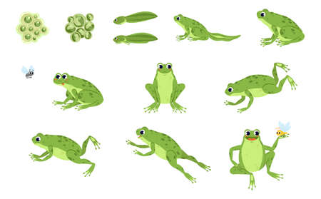 Set of Cute Frog and Frog Prince cartoon characters. Frog Jumping Animation Sequenceのイラスト素材