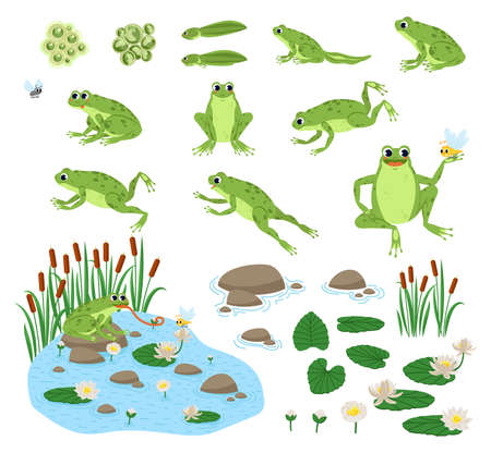 Set of cartoon hungry frog sad, smile, resting and hunting. Happy frog sit and jump clip art, different pose, with pond, plants, dragonfly.のイラスト素材