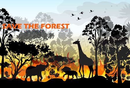 Burning forest spruces in fire flames. Wild fire in the night forest. Natural disaster. Wildfire. Black silhouette trees on fire realistic vector illustration.のイラスト素材