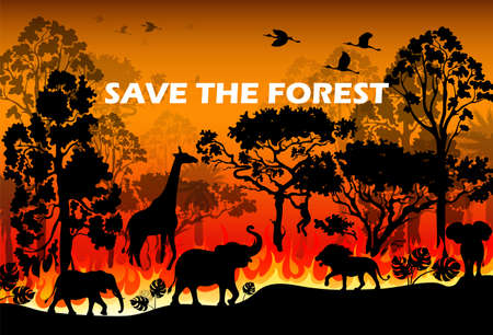 Burning forest spruces in fire flames. Wild fire in the night forest. Natural disaster. Wildfire. Black silhouette trees on fire realistic.のイラスト素材