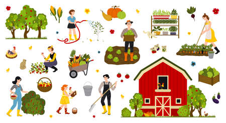 Garden, farm and agriculture. Woman and man cares for garden, potted plant, grows organic vegetables and herbs on farm or at home.のイラスト素材