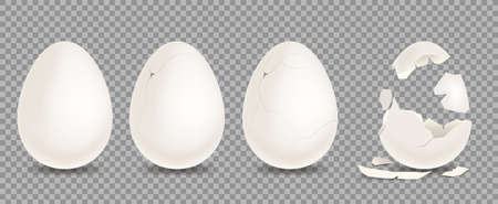 Set of white chicken eggs. Shell with cracks. Isolated on a transparent background. Culinary cooking...