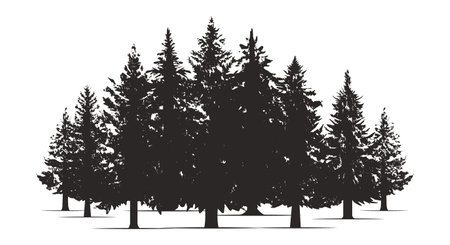 Hand drawn pine forest. Christmas banner template. Vector set silhouette of different Canadian pine trees.のイラスト素材