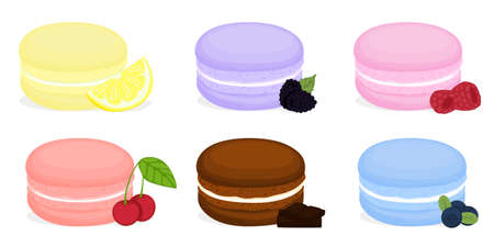 Colorful macaroons flavors. Macaroon cookies isolated on white background. Sweet and tasty vector template for cooking and restaurant menu.のイラスト素材