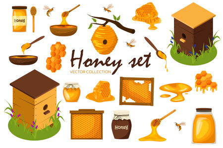 Honey set. Collection of beekeeping. Wooden beehive, Honeycombs, bee, honey in glass jar, honey dripping from wooden dipper, honey in wooden spoonのイラスト素材