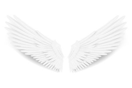 Realistic wings. Angel wings. White isolated pair of falcon wings, 3D bird wings design template.のイラスト素材
